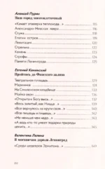 Стихи о Санкт-Петербурге — изображение 6