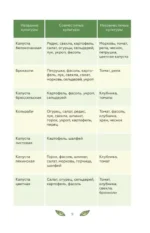 Огородный дневник уДачника — изображение 3