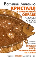 Кристалл в прозрачной оправе: Рассказы о воде и камнях. Василий Авченко