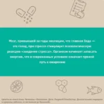 Биохакинг. Дети. Пищевой блокбастер. Доказательная медицина и здоровье ребенка: от витаминов до болезней — изображение 4