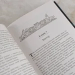 Дорога сильных. На пороге мира — изображение 6