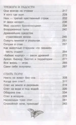 С утра до вечера — изображение 2