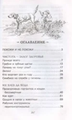 С утра до вечера — изображение 4