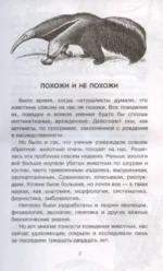 С утра до вечера — изображение 8
