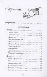 Сны из детства. Шелковая книга о счастье-бабочке, теплом доме и волшебном мостике, ведущем к гармонии — изображение 4