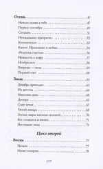 Сны из детства. Шелковая книга о счастье-бабочке, теплом доме и волшебном мостике, ведущем к гармонии — изображение 5