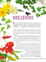 Опасные растения. От ядовитых до аллергенных — изображение 3