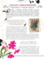 Опасные растения. От ядовитых до аллергенных — изображение 5