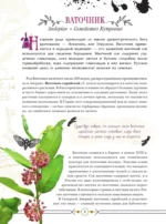 Опасные растения. От ядовитых до аллергенных — изображение 7