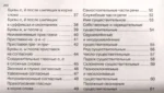 Учебные таблицы. Русский язык. 1-4 классы — изображение 6
