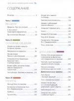 Печи, камины, барбекю своими руками — изображение 7