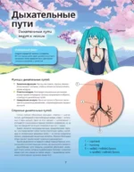 Атлас анатомии в стиле манга — изображение 6
