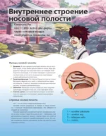Атлас анатомии в стиле манга — изображение 5
