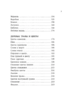 Весна. Хайку — изображение 5