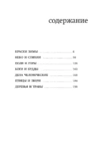 Зима. Хайку — изображение 6