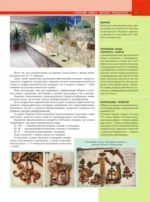 Кавказ. Предгорья — изображение 12