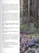Цветник в тени. Неприхотливые растения для вашего сада — изображение 2