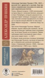 Медный всадник. Поэмы. С комментариями — изображение 4