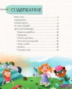 Мой первый гербарий — изображение 3