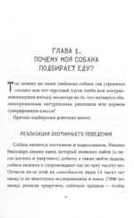 Фу! Моя собака-пылесос, или Как научить собаку не подбирать еду на улице — изображение 4