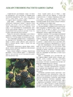 Травник. Большая энциклопедия лекарственных растений — изображение 10