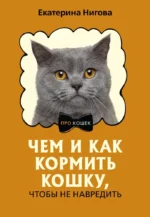 Чем и как кормить кошку, чтобы не навредить. Екатерина Нигова