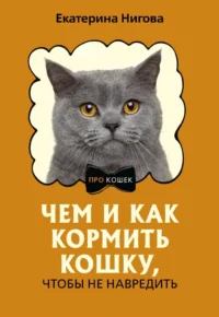 Чем и как кормить кошку, чтобы не навредить. Екатерина Нигова