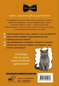 Чем и как кормить кошку, чтобы не навредить — Животные