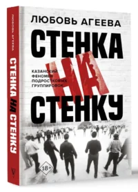 Стенка на стенку. Казанский феномен подростковых группировок — История, политика, социология