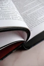 Преследуя Аделин. Специальное издание — изображение 10