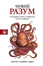 Наука, ученые, идеи — изображение 12