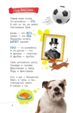 Английский с Андреем Усачевым и компанией — изображение 5