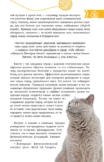 Кошки мира. Лучший определитель — изображение 12