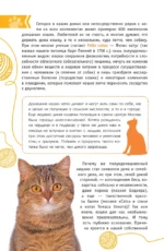 Кошки мира. Лучший определитель — изображение 5