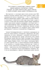 Кошки мира. Лучший определитель — изображение 10