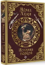 История тюрков — изображение 2