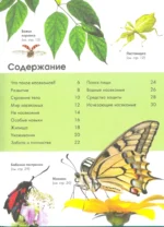 Насекомые — изображение 3