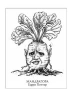 Гербарикум: пожиратели соседей, мандрагора и другие растения из сказок, игр и фильмов — изображение 4