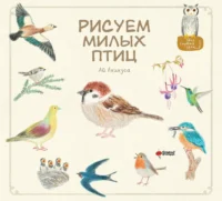 Рисуем милых птиц. АКИКУСА АИ