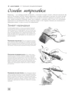Анатомия для художников. Более 50 проектов. Полная энциклопедия — изображение 10
