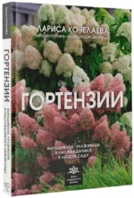 Гортензии. Выращиваем, ухаживаем и наслаждаемся в любом саду — изображение 2