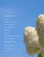 Гортензии. Выращиваем, ухаживаем и наслаждаемся в любом саду — изображение 4