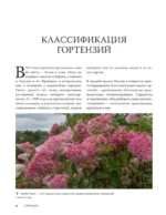 Гортензии. Выращиваем, ухаживаем и наслаждаемся в любом саду — изображение 8