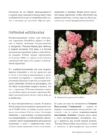 Гортензии. Выращиваем, ухаживаем и наслаждаемся в любом саду — изображение 9