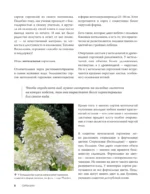 Гортензии. Выращиваем, ухаживаем и наслаждаемся в любом саду — изображение 10