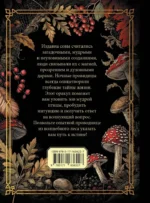 Ответы мудрой совы — изображение 3