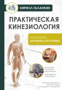 Практическая кинезиология. Упражнения для мышц-халтурщиц. ГАЛАНКИН К.