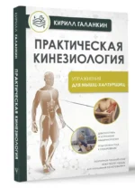 Практическая кинезиология. Упражнения для мышц-халтурщиц — изображение 2