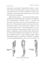 Практическая кинезиология. Упражнения для мышц-халтурщиц — изображение 11