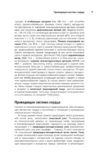 Современная кардиохирургия взрослых. Для студентов, клинических ординаторов и аспирантов — изображение 13